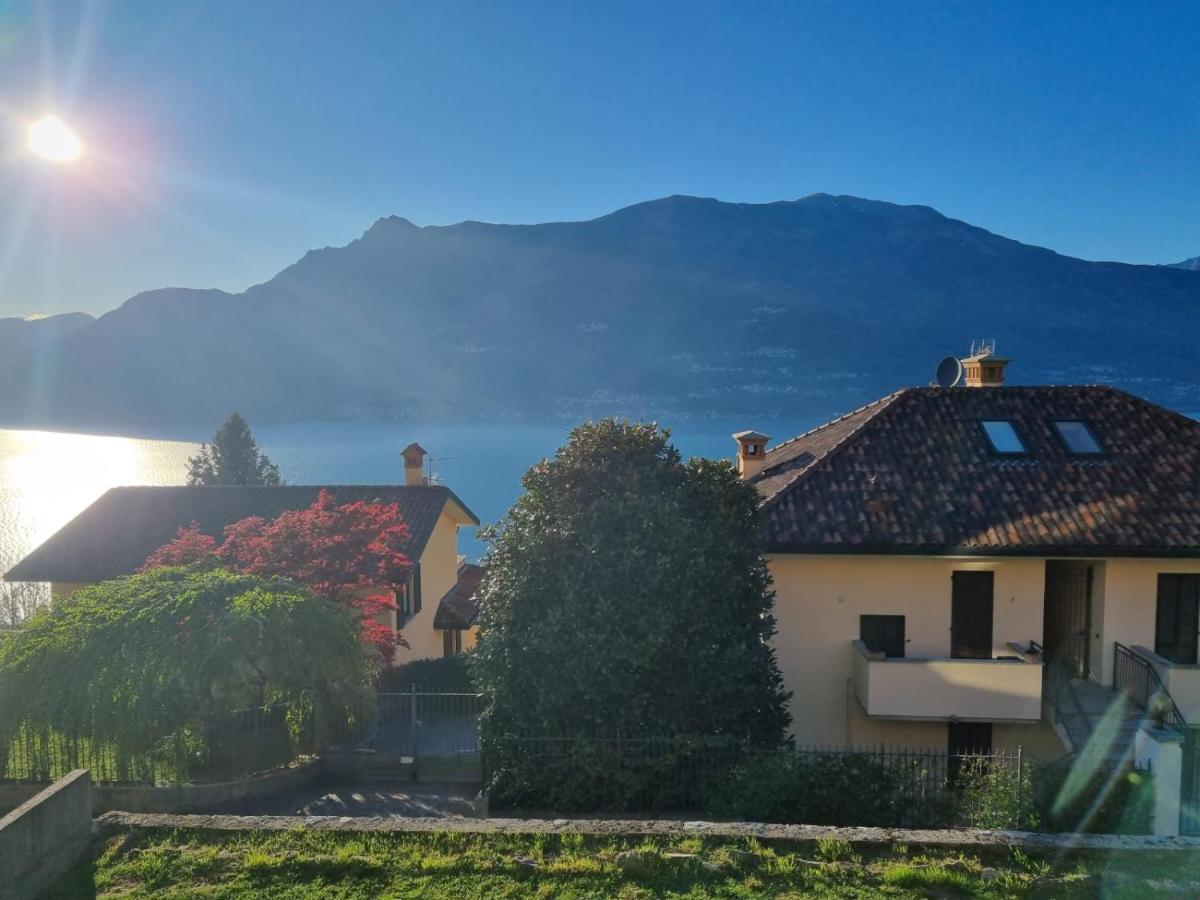 Apartment With Garden And Terrace Beautiful Lake View ベッラーノ エクステリア 写真